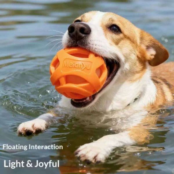 New Durable Hollow Elastic Dog Chew Interactive Teeth Cleaning Molar Toy Fetch Ball for Small to Medium Sized Dogs 26L0530
