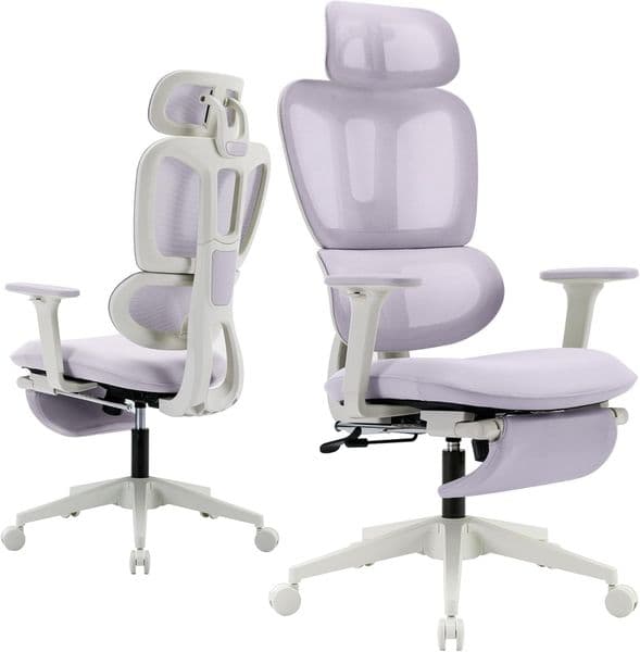 Ergonomic Office Chair With Footrest High Back Computer Chair With Dynamic Lumbar Support 2d Headrest And 4d Armrests Sponge Cushion And Mesh Back Home