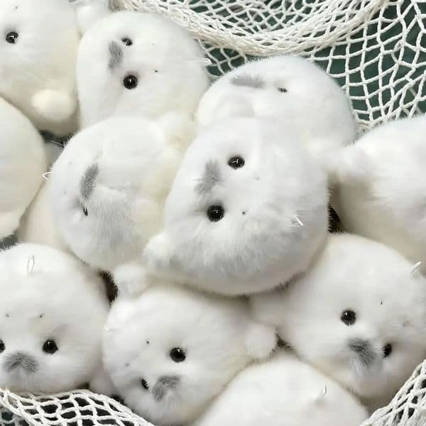 Cute Seals Plush Keychain Soft Kawaii Seal Plushie Animal Pendant Car Ornaments Fashion Stuffed Doll Keyring Car Key Accessories 260331