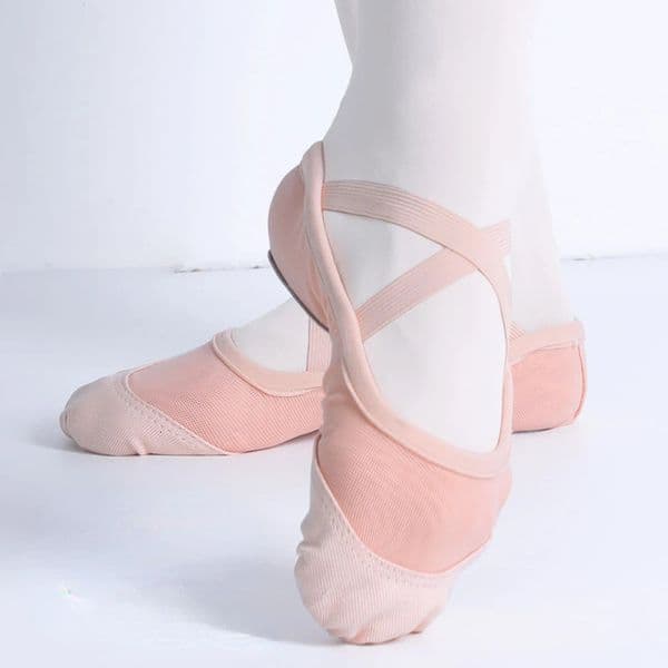 Elastic Mesh Ballet Shoes for Women Adult Soft Split Sole Girls Ballet Slippers High Quality Breathable Ballerina Dance Shoes 260402BJ