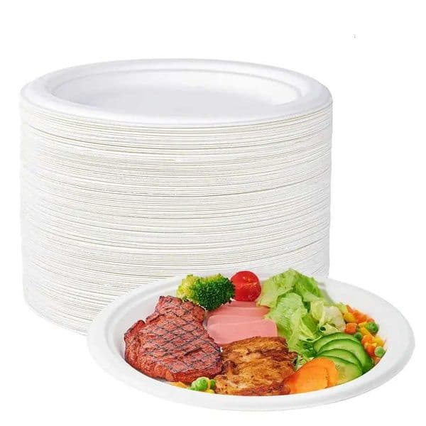 100 Compostable 10 Inch Heavy Duty Paper Plates 150 Pack Disposable Biodegradable Ecofriendly Sugarcane Bagasse Plates for Dinn X260402