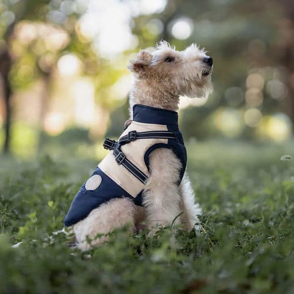 dog Luxury Designer Waterproof Pet Reflective Winter Dog Clothing cat With Suspenders Suitable For Small And Large Dogs Outerwear Chihuahua French Bulldog Set 001
