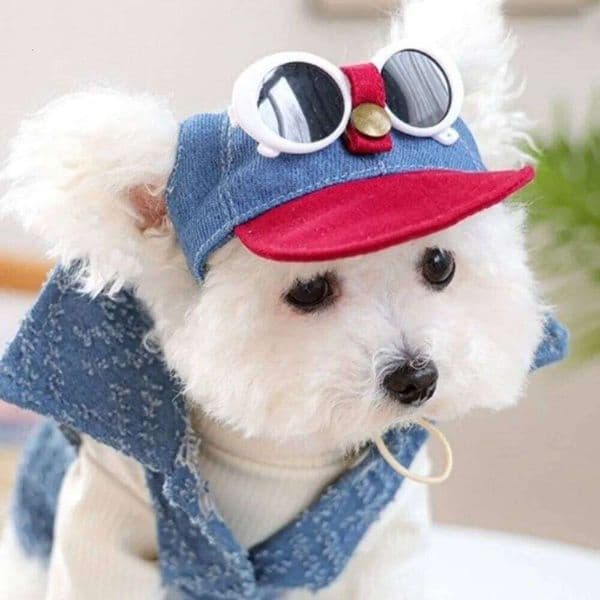 Korean Style Sun Sunglasses Adjustable Denim Cap Visor Hats with Ear Holes Dog Sports Hat for Puppy Dogs 26W0402