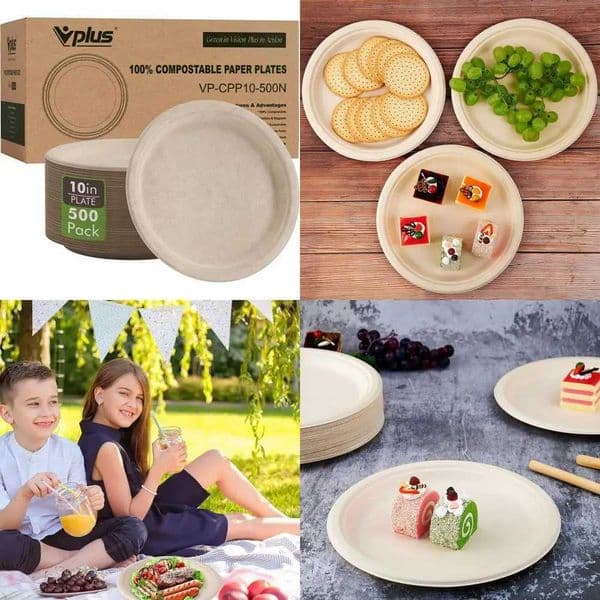 500 Pack 1025 Inch Biodegradable Paper Plates - 100 Bagasse Eco-Friendly Strong Natural X260402