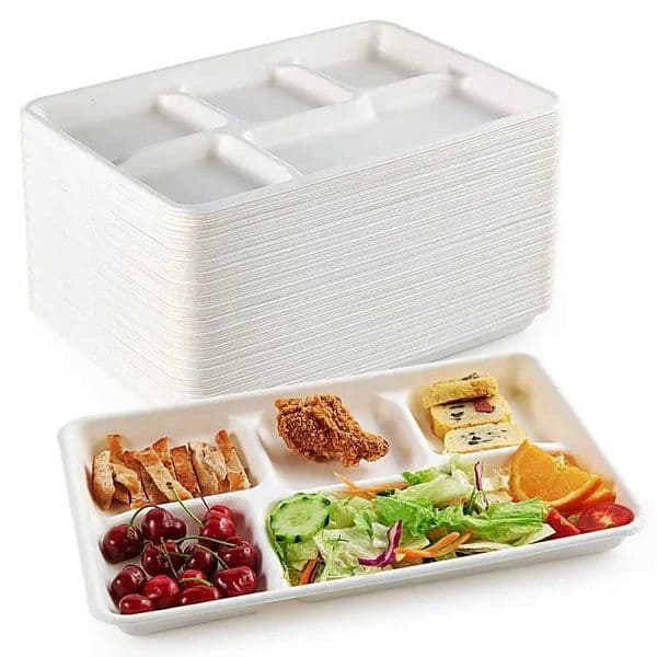 100 Compostable 5 Compartment Plates 100 Pack Disposable Compartment Paper Plates 125 86 inch Biodegradable Sugarcane Plates X260402