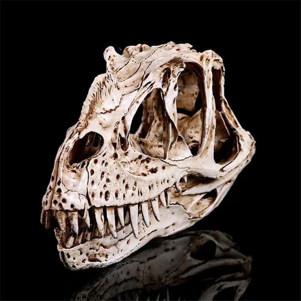 Resin Dinosaur Skull Skeleton Head Figurine Sculpture Ceratosaurus Craft Statues for Decoration Halloween Home Gift 260403BJ