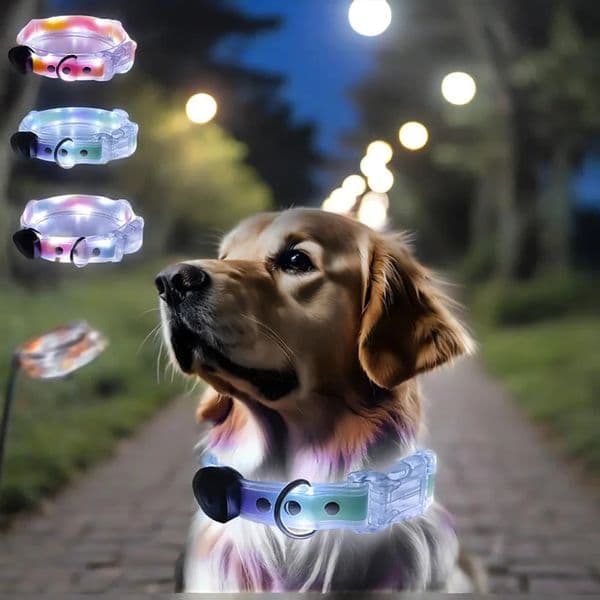 Pet Light-up Collar Leash LED Flashing Collar USB Charging Dog Walking Pulling Belt Adjustable Dog Collar Anti-Lost Pet Supplies 260402
