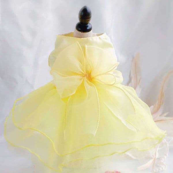Famous brand Supplies Small Wholesale Dropshipping Dog Wedding Dress Gown Pet Clothing Cross Border Amazon pupakaIK