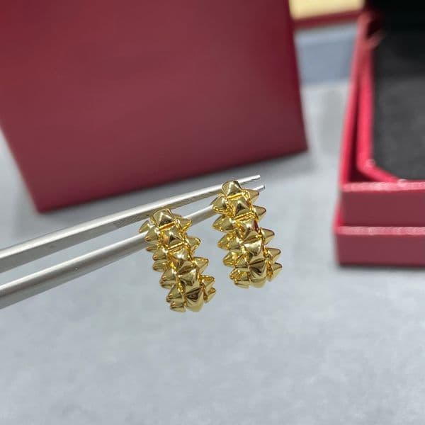 earrings designer earrings luxury earrings designer for women high quality versatile style Jewelry Weddings gift wear popular jewelry sliver classci style