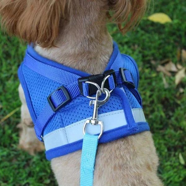 Vest Harness Leash Adjustable Mesh Vest Dog Harness Collar Chest Strap Leash Harnesses With Traction Rope XS/S/M/L/XL 260407