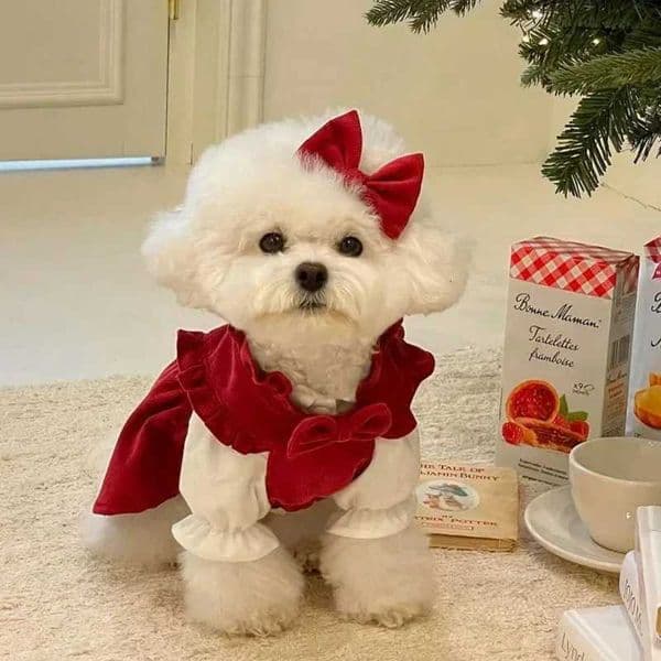 Puppy Bow Knot Dress Set Winter Warm Dog Clothes Pet Christmas Princess Dress Teddy Solid Color Skirt Send Clip H260411