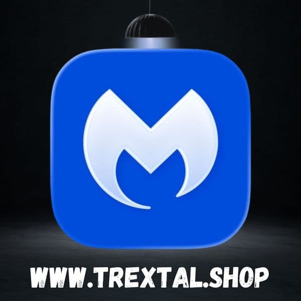 MLWR The Future of Digital Entertainment Your All-in-One Digital TV Experience