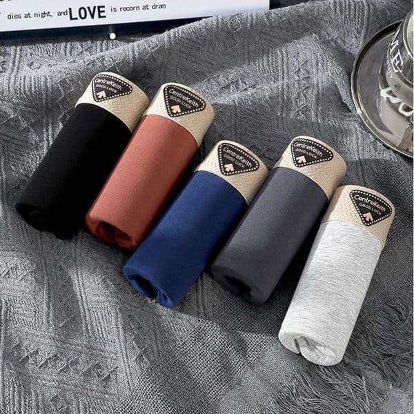 5pcsset Mens Boxer Fashion Underwear High Stretch Panties Underpants For Homme Set Shorts Breathable Soft 260401BANJIA