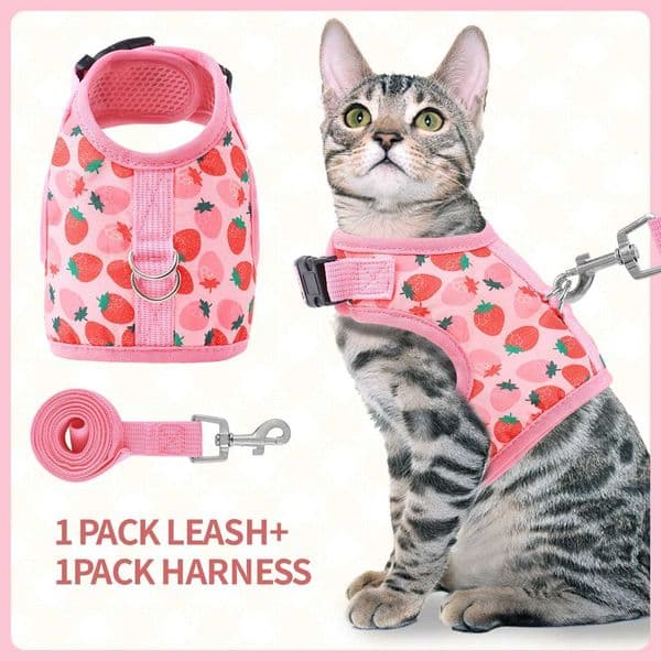Cat Harness and Leash Set Escape Proof Breathable Kitten Vest Harness Adjustable Soft Pet Chest Strap for Outdoor Walking H260416