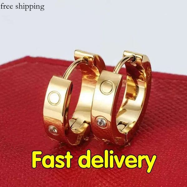 for women designer Style Extravagant Classic simple earring Steel High Quality Fashion Letter Gold Plated Earring Wedding Earrings