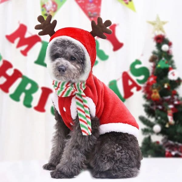 Luxury Dog Warm Jumpsuits Winter Fleece Pet Overalls For Small Medium Dogs Cats Clothes Puppy Pamas cat Christmas dog Teddy Outfit Free Shipping