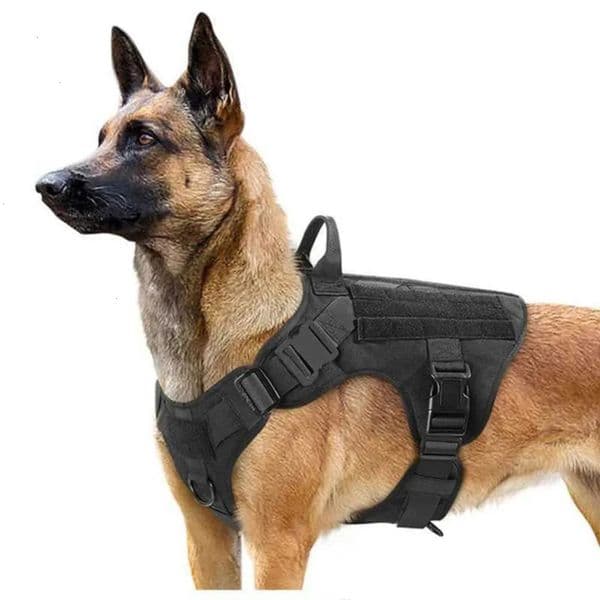 Luxury Designer Tactical Military German Shepherd Pet Training Vest Small Medium Large dog cat Dog Harness And Belt Set Shipping 1 6 3 3
