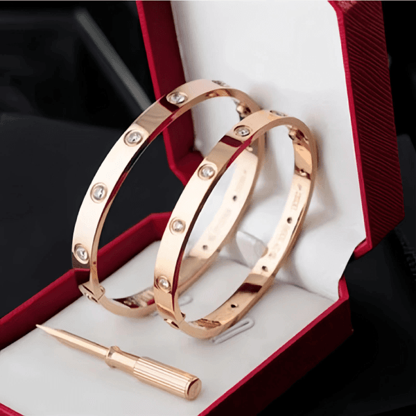 Luxuriou Designer Bracelet Women Men Jewelry Cuff Charm Bracelets Stainless Steel Gold Silver Classic Permanent Double Lock Buckle Couples Bracelet Designer Gift