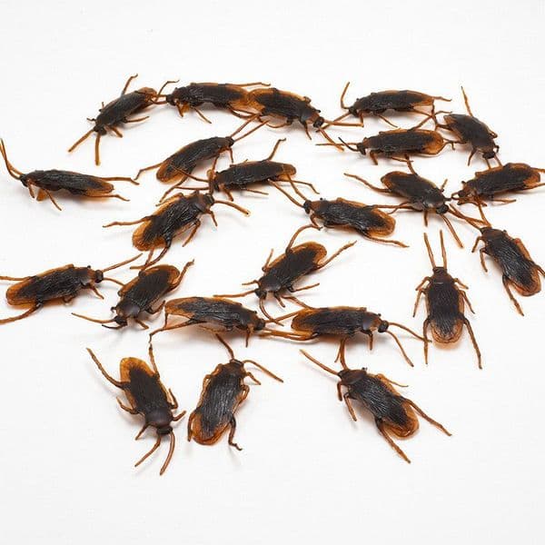 Halloween Toys Plastic Halloween gadgets cockroaches decorative accessories rubber ZZ Tax Duty Free