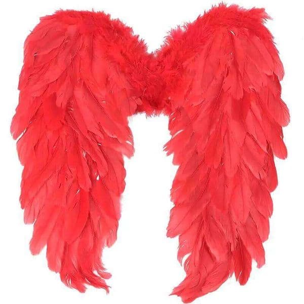 Feathers Angel Wing Christmas Halloween Fancy Dress Kids Cosplay Prop Party Decoration Accessories