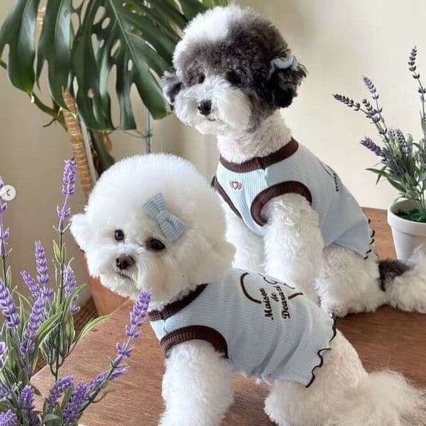 Kawaii Heart Embroidery Bear Vest Two-legged Suspender Pet Clothes Spring Summer Fashion Outfit For Dogs Cats pupakaIK