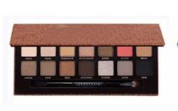 Hot Makeup Eye Shadow 14 Colors limited Eyeshadow Palette With Brush