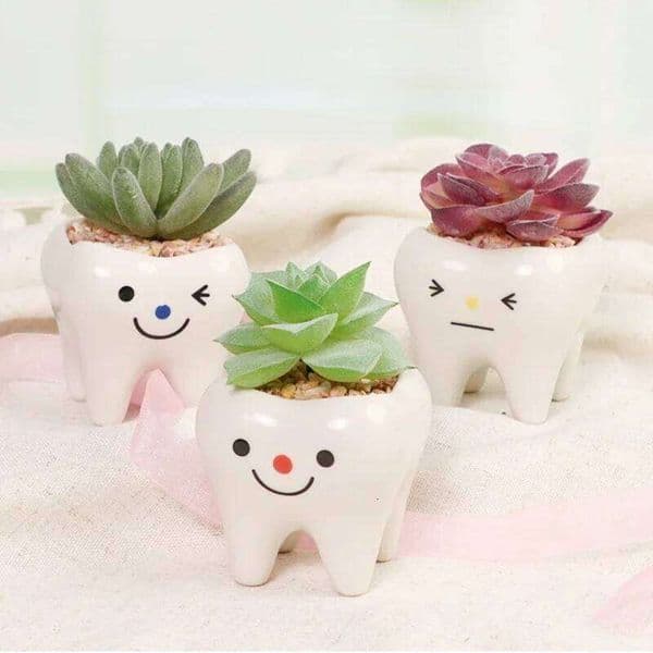 2025 New Ceramic Flowerpot Mini Tooth Shaped Cute Desktop Potted Creative Plant Pot Desk Decorate Small Ornament 26W0203