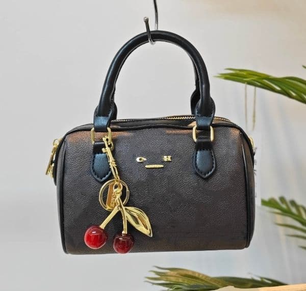 2026 designer bag Designer Sacoche tote bag women shopping handbag leather ROWAN 18CM crossbody bags coas Pillow Clutch wallet Hobo purses lady Satchels