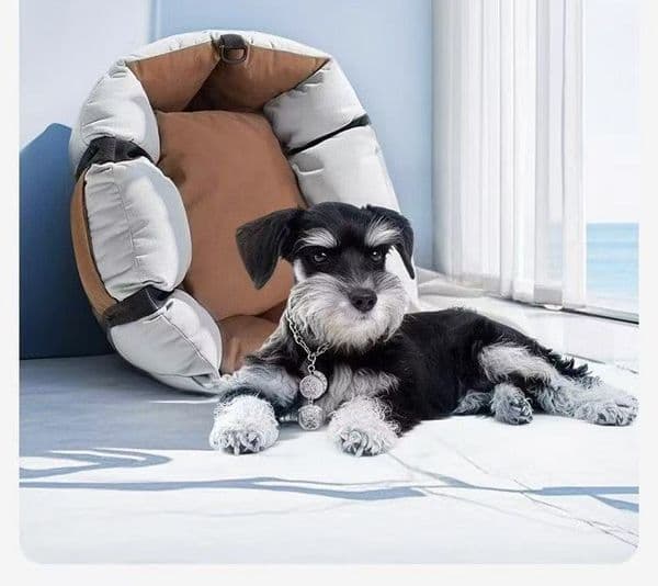 Pet outdoor car kennel car out bag dog safety seat car cushion car seat artifact