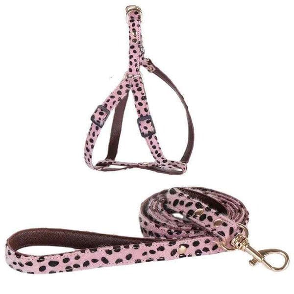 Leopard Print Harness and Leash Set Adjustable - Stylish Dog Collar Pu Fashion Pet Walking Accessories for Small Dogs thumbnail 2