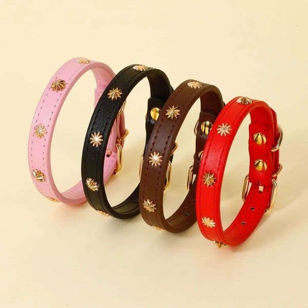 Designers Leather Cat Collar Gold Rivet Kitten Necklace for Cats Small Dog Puppy Accessories Pet Supplies Chihuahua 1.3 CM Width W260225