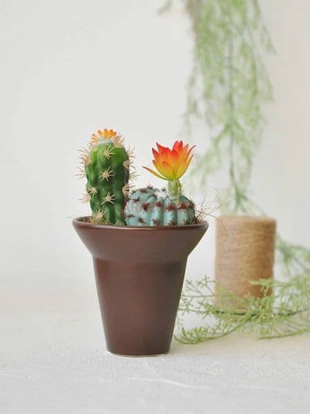 Bestseller 1pcs Simulated Cactus Immortal Ball Succulent Plant Bonsai Pottery Home Office Desk Display ddmytues