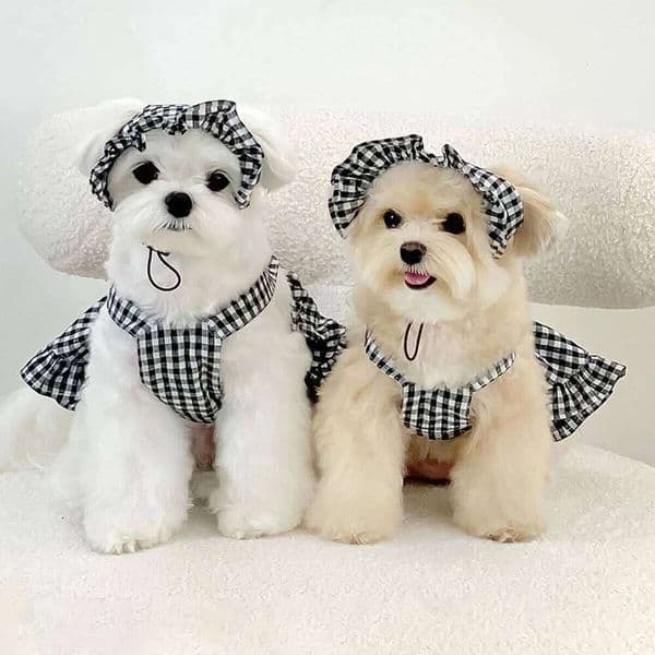 Fashion Clothing Modern Style Black White Plaid Skirt With Hat Suit Dog Dresses Pet Accessories Puppy Summer Clothes 26H0227
