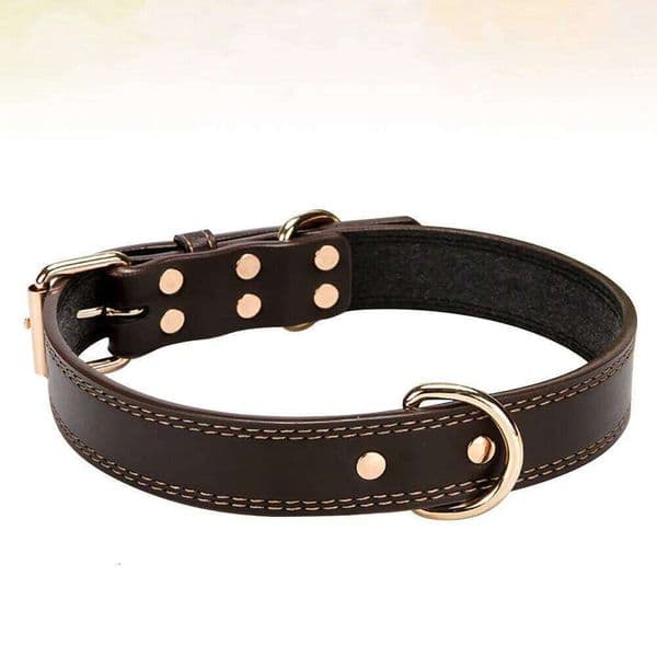 Dog Pet Collar Adjustable Neckband with Metal Rivet D-Ring and Bell Coffee Most Sizes Stylish Canine Accessory C260228