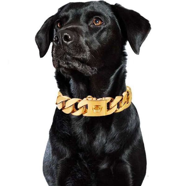 32mm Metal Pet Choker Large Collar Gold Silver Stainless Steel Chain Dog Accessories for Cane Corso Labrador Rottweiler C260228