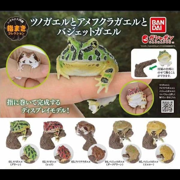 Bandai Original Gashapon Animal Series Mini Frog Figure Cute Toad Collectible Desk Decor Kawaii Animal Statue Gift for Kids L2606010QTG