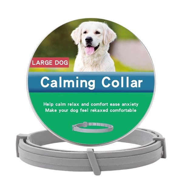 Pet Leash Portable Running Reflective Double Retractable Dog Leash Dog Chain Leash Pet Collar 240722