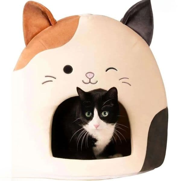 2026 New Animal Rescue Donation Squishmallows Original 16 Inch (Approximately 40 perfume 6 Cm) Cam The Cat cologne Cave Ultrasoft Official Jazwares Pet Bed Su