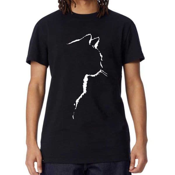 T-shirt Mens Top Quality 100 Cotton Short Sve Cool Cat Print O-neck Casual Loose Hip Hop for Men Summer Male Tee Top D260604