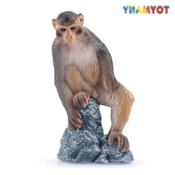 Simulation Toymany Macaque Monkey Primate Animal Model Toy Mini Figures Dolls Action Figurines Toys Children Gift Cake Decora L260604ZLOT