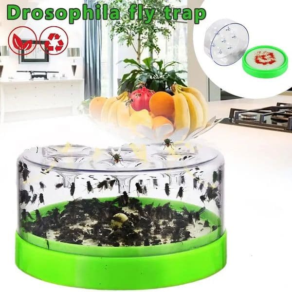 Reusable Fruit Fly Catcher Tool Fly Insect Trap Gnat Both For Indoor Outdoor Pest Control Insect Reject Fly Trap Catcher Cage 260529