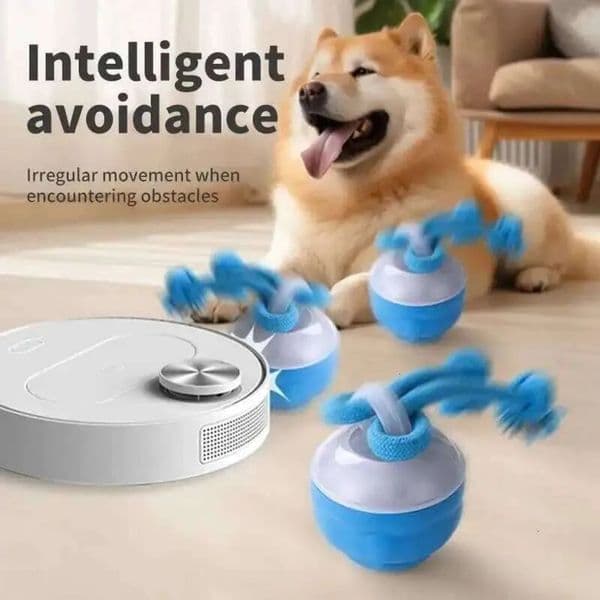2026 Interactive Toys Smart perfume Rolling Ball With Rope cologne Motion Activated Automatic Moving Squeaky Dog Training Puppy Chew Toy Balls Free Shipping 26