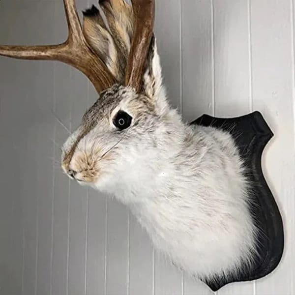 room Luxury Designer Decor Decor The Latest Legends Staghorn Rabbit Resin Hanging Wall Art Realistic Animal Heads Statues Easter Vintage Uph 16 6