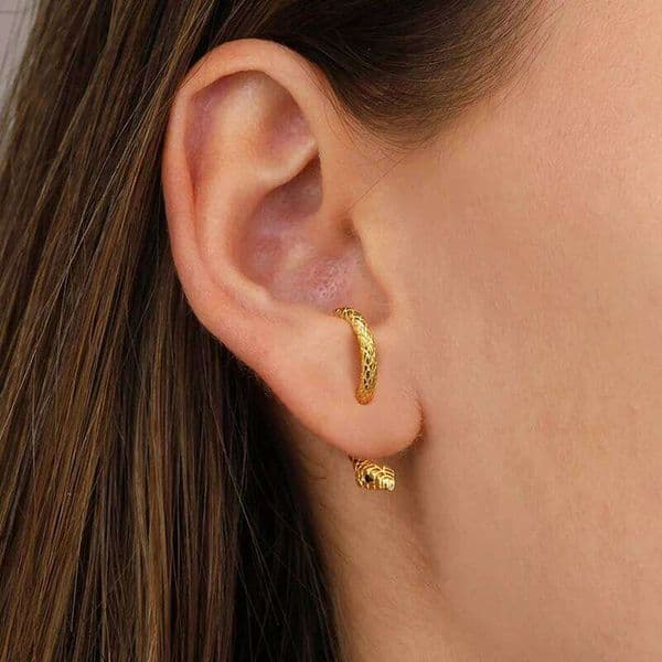 Vintage Punk Shaped Stud Earrings For Women Gold Color Retro Bird Snake Animal Metal Earring Hiphop Party Cool Jewelry