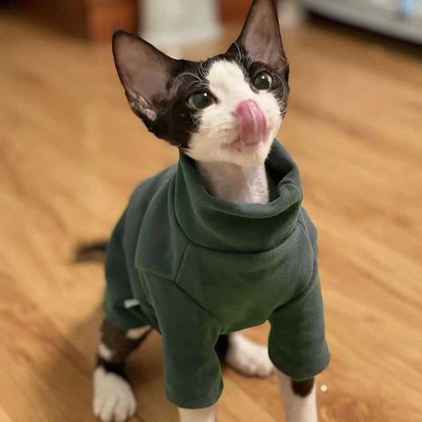 DUOMASUMI Sphynx Cat Clothes Baby Soft Cotton Fall Winter Kitten Clothes for Cornish Devon Cat Costume Hairless Cat Clothes L260608