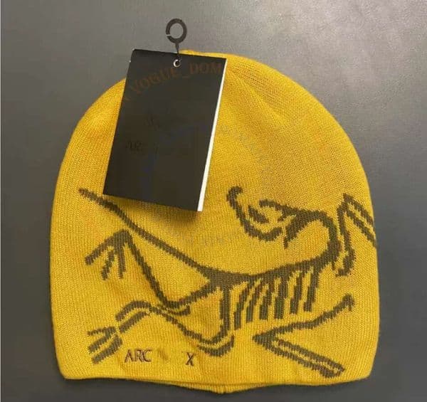 2026 AAA Fashion Classic Designer Beanies Bonnet Luxe Arc Teryxs Skull Cap Casquette Knitted Fitted Hats Men Mens Luxury Muts Berretto Beanie 1e8