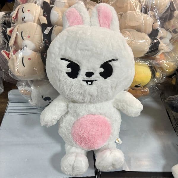 -Stray Kids SKZOO Plush Toy Teddy Hug Pillow Doll Fans Gift Plush Toy Seoul FM Week Cloak Doll Magic School Kid Birthday Gift 260608