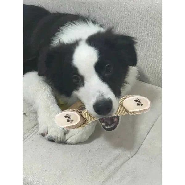 Piece Indestructible 1 Pet Teeth Cleaning Toy Durable Dog Chew Supplies for Cats and Dogs J260610