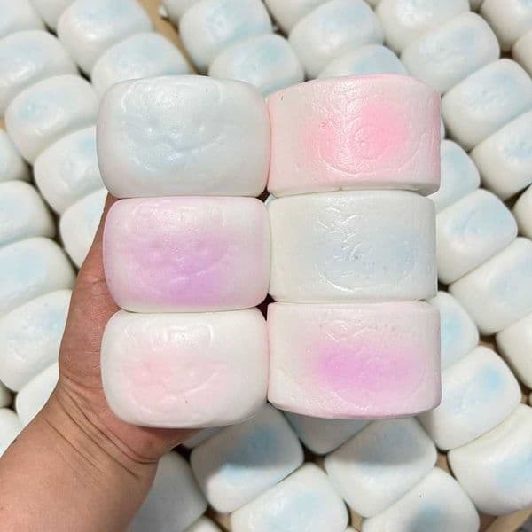 Squeeze Squishy Simulated Steamed Bun Toy Stress Relief Slow Rising Sensory Fidget for Anxiety ADHD Autism Gift for Kids Adults M260613