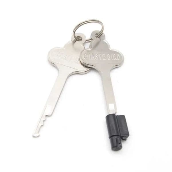 2026 New Accessories Lock For adult toys HT Series Cock Cage And Other Chastity Devices Stainless Steel Keys K5 011B